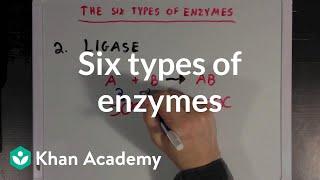 Six types of enzymes  Chemical Processes  MCAT  Khan Academy