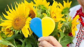 The Symbolism Behind Sunflowers In Ukraine