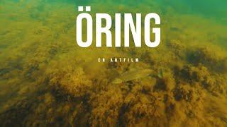 Öring - En artfilm