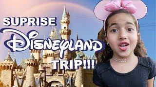 Surprise Disneyland Trip Vlog  Nura Afia