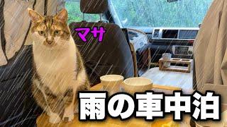 Car camping with cats｜A quiet night listening to the sound of rain and cats purring