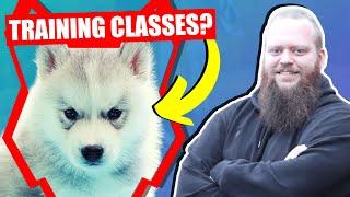 SHOULD MY SIBERIAN HUSKY GO TO PUPPY TRAINING CLASSES