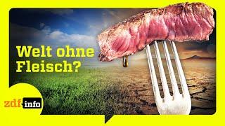 Algen statt Steak Die Zukunft unserer Ernährung  ZDFinfo Doku