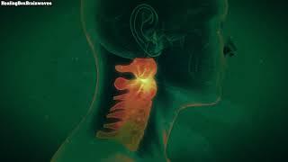 Get Relief From Neck Pain & Stiff Neck  Isochronic Binaural Beats {15 Min Sound Healing Therapy}