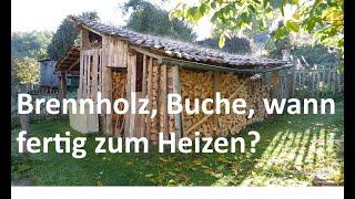 Brennholz Buche nach 5 Monaten trocken stockiges Holz zum Heizen?