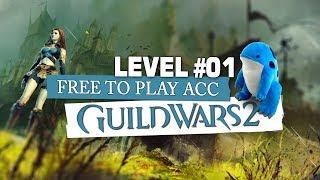 Guild Wars 2 F2P Account  LEVEL 1 - Guide Interface erste Quest