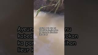 #music #cover #musik #lagu #mancing #mancingmaniamantap #mancingdisungai #teknikmancingikanwader