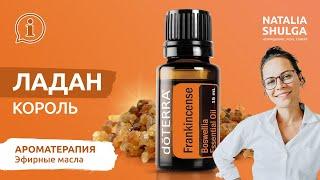 FRANKINCENSE No. 1 essential oil  Eng Subs