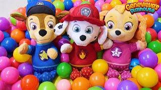 Paw Patrol Baby Pups Home Alone and get a New House Learning Videos for Kids