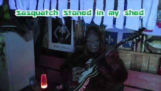 Sasquatch stoned in my shed *Amazing footage*