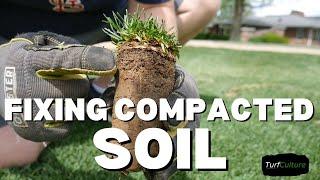 Fixing Compacted Soil  Core Aeration & Sand Topdressing