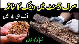 5 Mint mn Deemak ka khatma  دیمک ختم کرنے کا طریقہ  Demak khatam karne ka tarika   Deemak ka ilaj