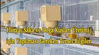 FloryaSaka ve Doğa Kuşları Üretimi için Yapılması Gereken Temel Bilgiler