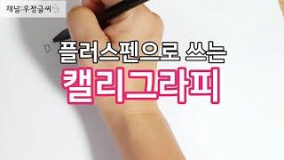 캘리그라피 플러스펜으로 쓰는 짧은 문장 펜글씨 펜캘리 calligraphy Korea