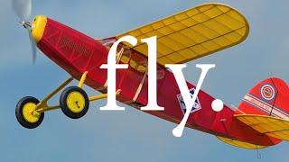 Flock Flies With The Skokie Model Airplane