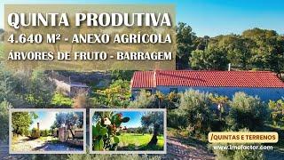  Quinta Produtiva - 4640 m²  - Anexo Agrícola - Árvores de Fruto - Barragem  Indisponível