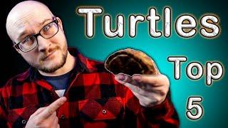Top 5 Turtles For Beginner AND Expert Keepers