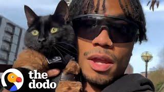 Model and His Cat Are The Ultimate It Girls  The Dodo