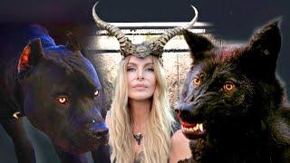 DOGS THAT LOOK LIKE HELL HOUNDS - Cane Corso Malinois Presa Canario Borz Hound Wolfdog Xolo