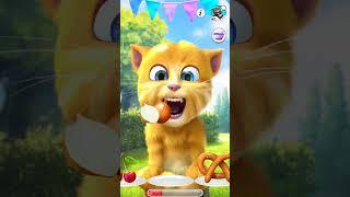 Ginger 2 🫐🫒🫒🫒#shorts #viral #viralvideo #shortvideo #youtubeshorts #talkingtom