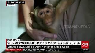 Seorang Youtuber Diduga Siksa Satwa Demi Konten  REDAKSI SIANG 040221