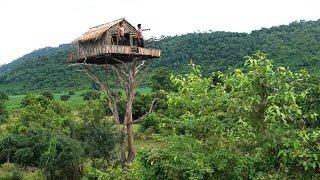 How To Build House On The Tree 12m And Swimming Pool  Part I 