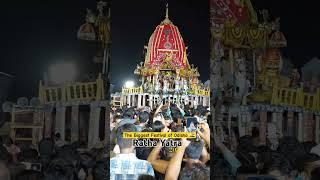 Lord Jagannath on Nandighosh  Ratha Yatra 2024 The biggest festival of Odisha #shorts