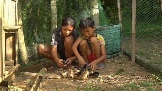 Life in the forest of two orphan sisters Quickly build fences and chicken coops