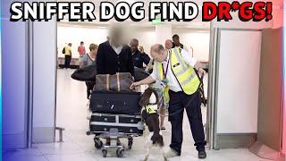 Customs Sniffer Dogs Find Dr*gs At The Airport