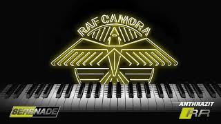 RAF Camora - SERENADE Anthrazit RR #04