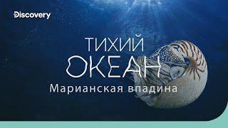 Тихий океан Марианская впадина  На дне океана  Discovery