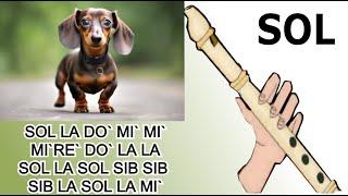 Perro salchicha gor bachicha TIKTOK flauta dulce fácil tutorial con animación easy flute recorder