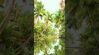 Boat tour in Kerala South India #Shorts