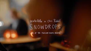 Winterfalle – Snowdrops Live at The Folklore Rooms