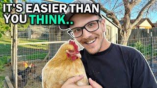 BACKYARD CHICKENS FOR BEGINNERS  Caring For Egg Laying Hens The EASY Way