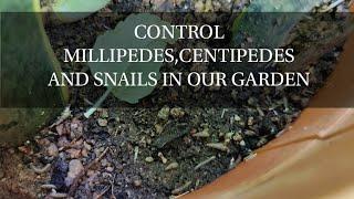 Control Millipede Centipede and snails  Earthit