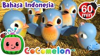 Lima Burung Kecil Silaturahmi  CoComelon Bahasa Indonesia - Lagu Anak Anak  Nursery Rhymes