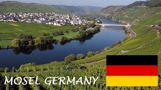 Mosel Wine tourism German Riesling Wine Moselle Valley Germany wines DeutschlandTourismus Travel