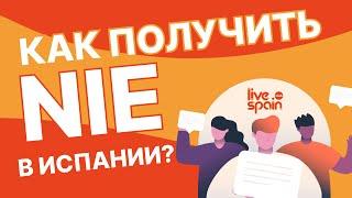 Как получить NIE в Испании?