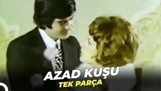 Azad Kuşu  Tarık Akan - Hülya Koçyiğit Eski Türk Filmi Full İzle