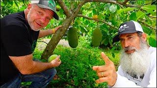 Raw Fruit Vegan Lives Off What He Grows In His Backyard