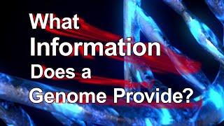 What Information Does a Genome Provide?