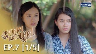 ดอกคูนเสียงแคน EP.7 15