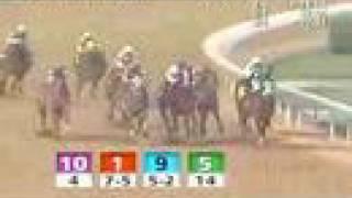 2006 Stephen Foster Handicap