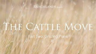 The Art of the Cattle Move II The Planning