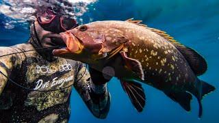 Hole hunting for grouper in Croatia   Northern Adriatic spearfishing.