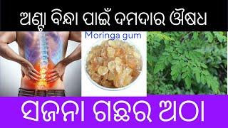 ସଜନା ଅଠା ର ୧୦  ଔଷଧିୟ ଉପଯୋଗ  Moringa gum benefits in Odia