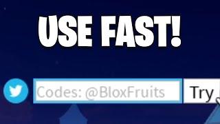 New Working Double XP Code - Blox Fruits