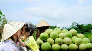 Peaceful countryside soul Enjoy harvesting melons and meals from home-grown ingredients