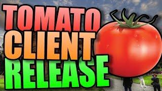 Minecraft   TOMATO CLIENT 1 8 x Hacked Client Ghost client FORCEOP